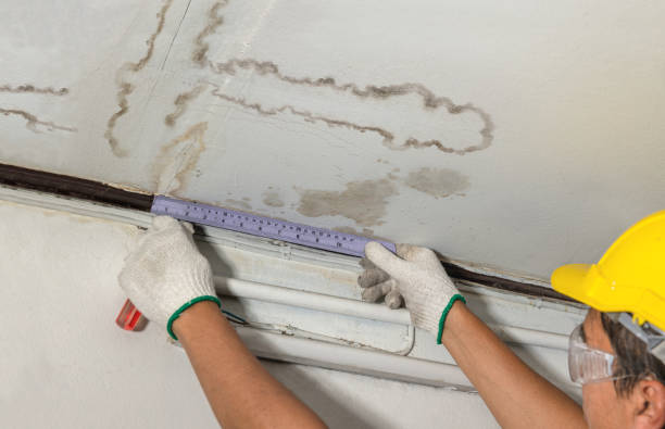 Reliable Structural Drying contractor in Ashley, MI by Water Damage Irwin